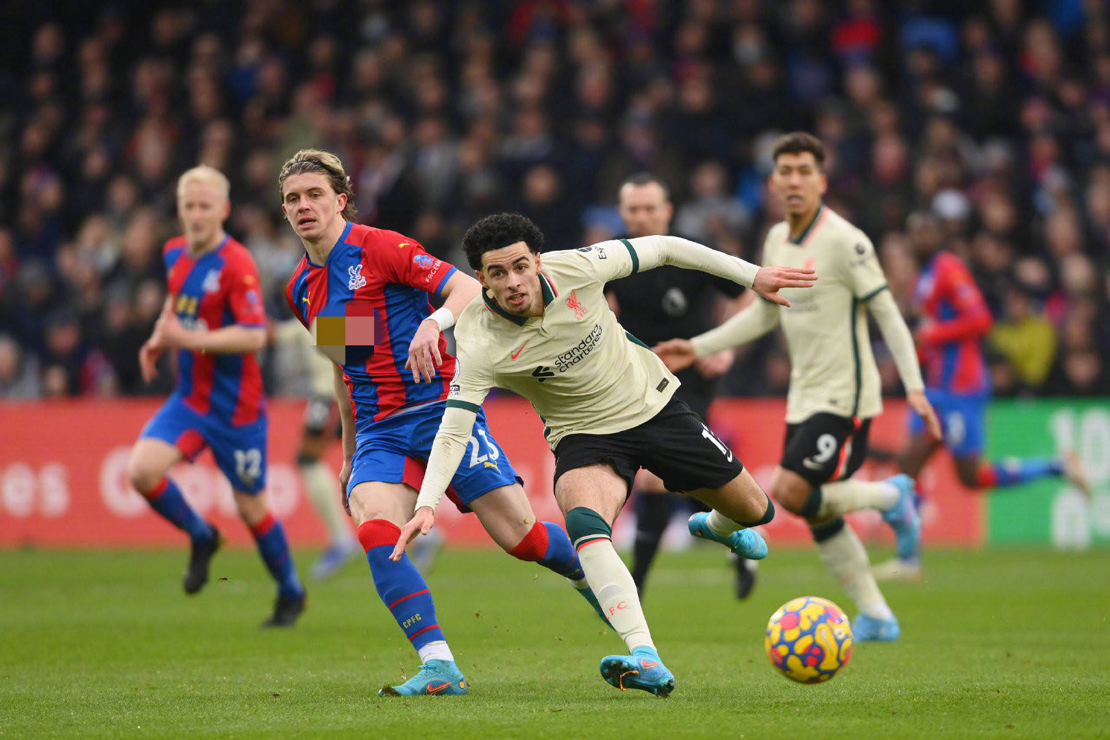 忠诚与坚守 忠诚与坚守